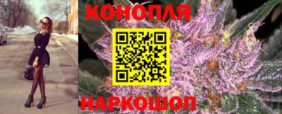 прущие грибы Кулебаки
