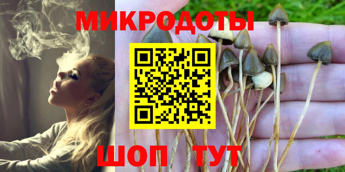 Псилоцибиновые грибы GOLDEN TEACHER Избербаш