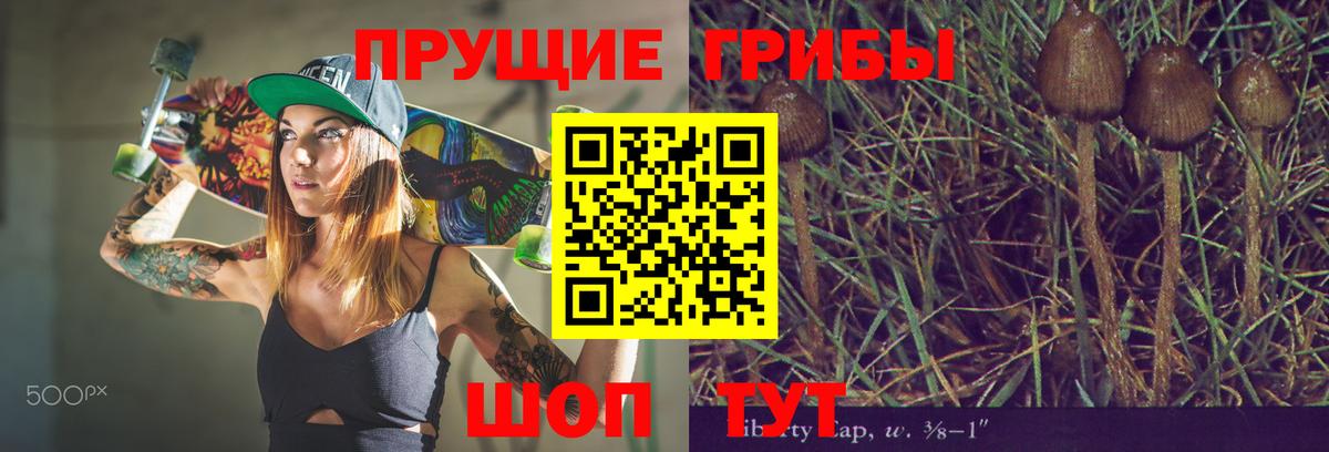 Избербаш  Галлюциногенные грибы Psilocybine cubensis  Вход с VPN 