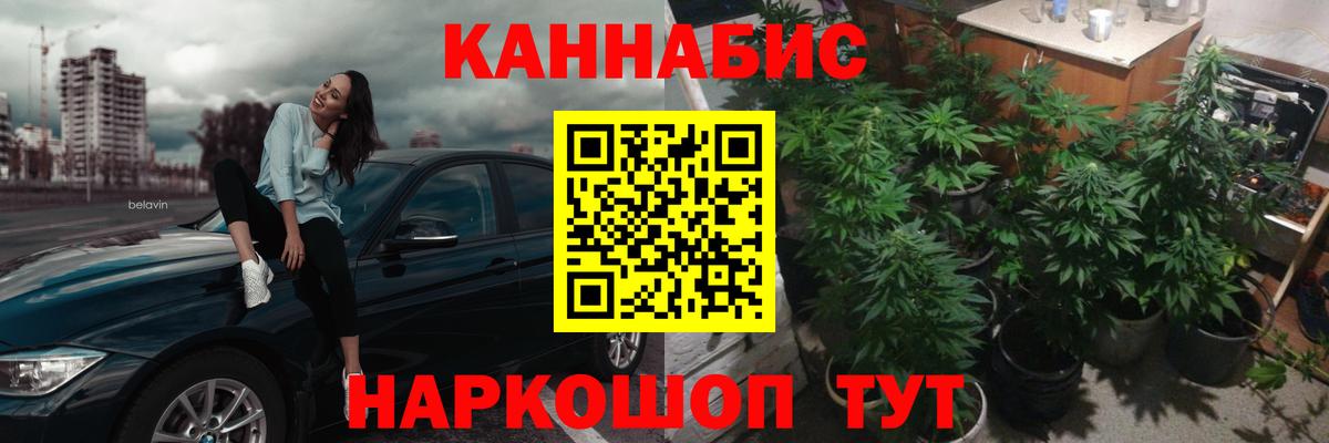 Каннабис семена Избербаш